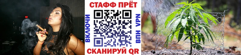Магазины продажи наркотиков Светлогорск Канабис Cocaine АМФ МЕФ Гашиш